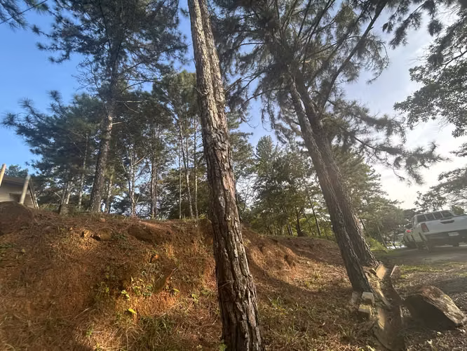 VENTA Terreno de 1511m2 en Cerro Azul AMD - Imagen 5