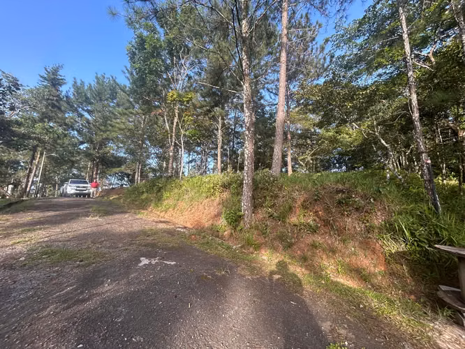 VENTA Terreno de 1511m2 en Cerro Azul AMD - Imagen 3