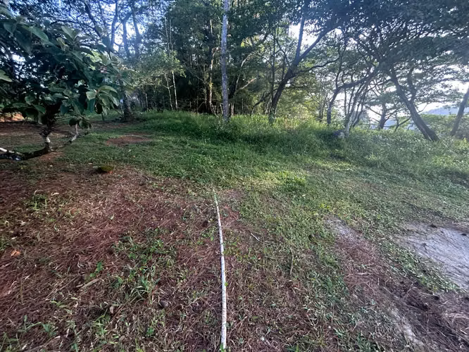 VENTA Terreno de 1511m2 en Cerro Azul AMD - Imagen 12