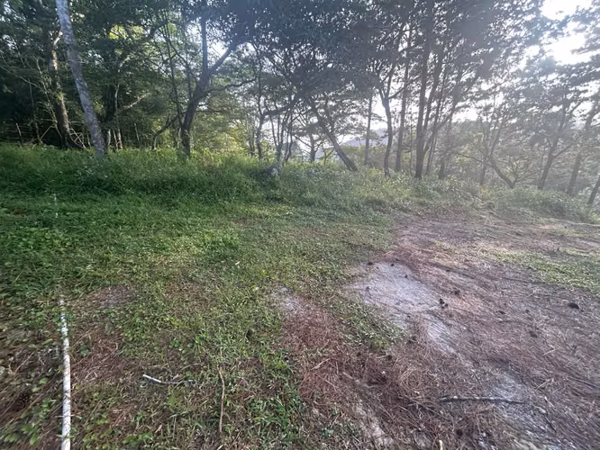 VENTA Terreno de 1511m2 en Cerro Azul AMD - Imagen 13