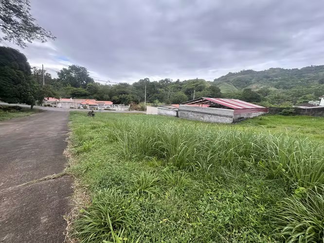 VENTA Terreno de 825m2 en Las Lajas  AMD - Imagen 2
