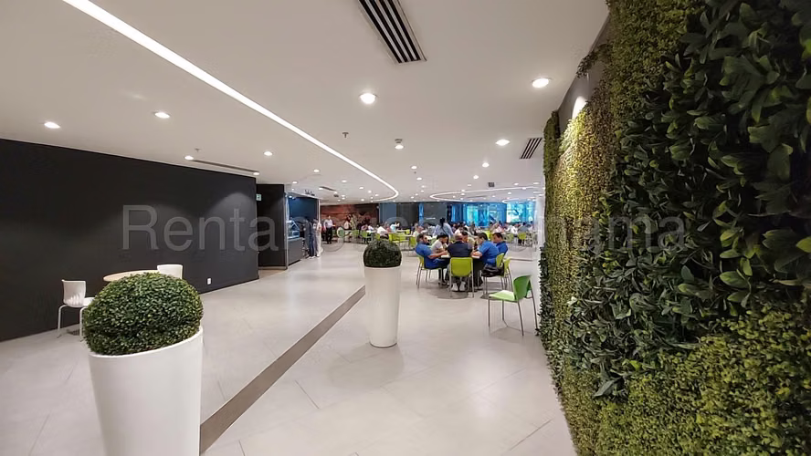 Oficina de Lujo de 292m2 en Alquiler en Costa del Este 27PPM1105