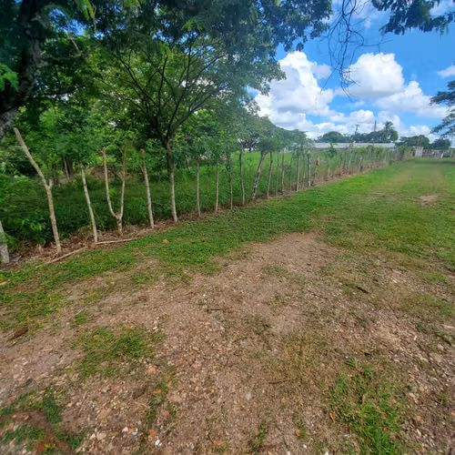$350,000 LA HECTAREA SE VENDEN 5 HECTAREAS + 3,100 MTS2 EN CAPIRA - Imagen 5