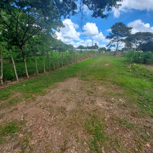 $350,000 LA HECTAREA SE VENDEN 5 HECTAREAS + 3,100 MTS2 EN CAPIRA - Imagen 6