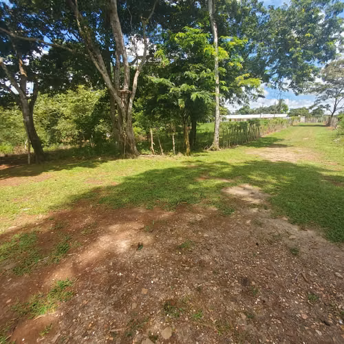 $350,000 LA HECTAREA SE VENDEN 5 HECTAREAS + 3,100 MTS2 EN CAPIRA - Imagen 4