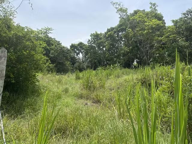Se vede terreno en El Higo de San Carlos - Imagen 7