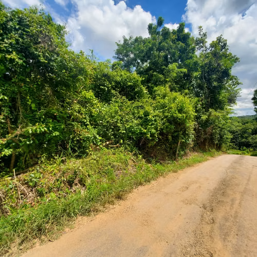 $220,000 LA HECTAREA SE VENDEN 3 HECTAREAS + 3,775 MTS2 EN CAPIRA - Imagen 6