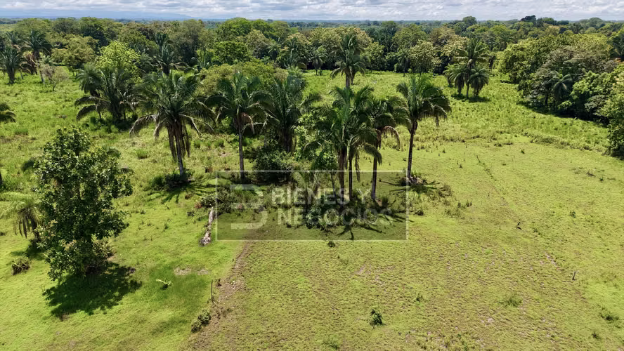 Finca en Chiriqui, Bugaba, 44.1 Hectáreas en Gariche - Imagen 12