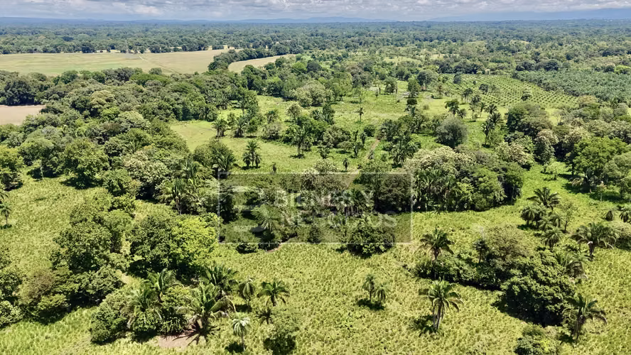 Finca en Chiriqui, Bugaba, 44.1 Hectáreas en Gariche - Imagen 10