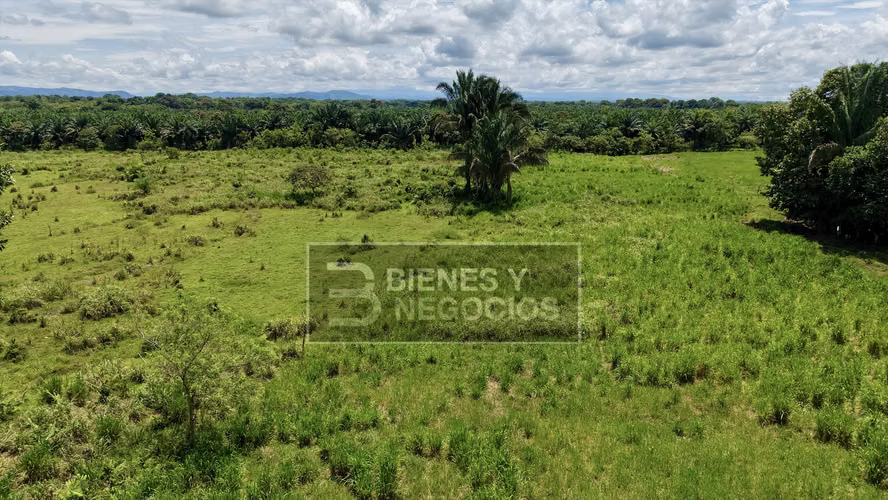 Finca en Chiriqui, Bugaba, 44.1 Hectáreas en Gariche - Imagen 2