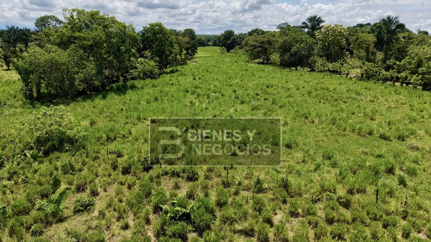Finca en Chiriqui, Bugaba, 44.1 Hectáreas en Gariche - Imagen 3