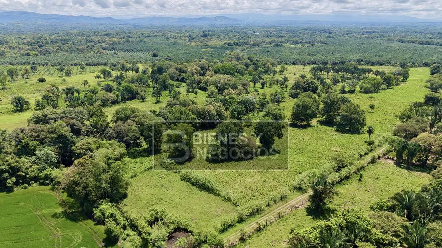 Finca en Chiriqui, Bugaba, 44.1 Hectáreas en Gariche