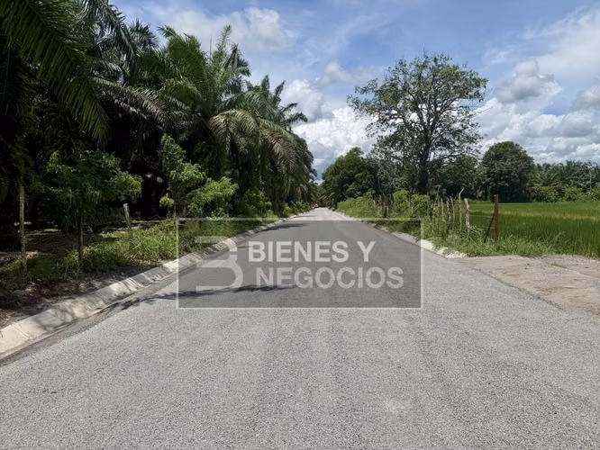 Finca en Chiriqui, Bugaba, 44.1 Hectáreas en Gariche - Imagen 14