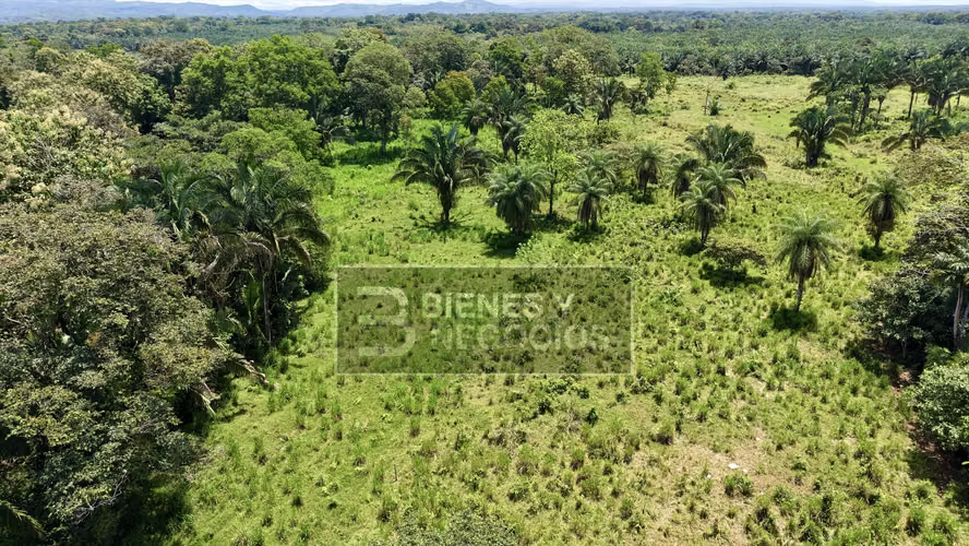 Finca en Chiriqui, Bugaba, 44.1 Hectáreas en Gariche - Imagen 4