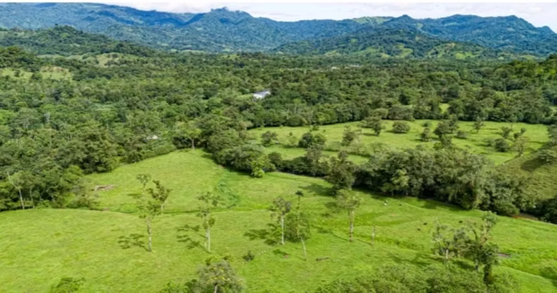 (A.B.)VENDO TERRENO EN BOCAS DEL TORO 27 HECTÁREAS, CHIRIQUÍ GRANDE