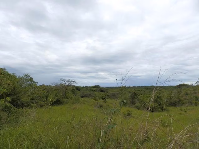 Lote en Venta en San Carlos 33 HAS 26YCG7100 - Imagen 12