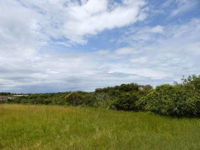 33-Hectare Lot for Sale in San Carlos (Ref. 26YCG7100)