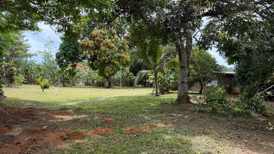 SE VENDE CASA CON TERRENO FAVORABLE EN SANTA ROSA DE CAPIRA - Imagen 10