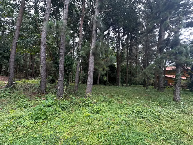 Oportunidad! Se Vende Terreno Plano en Altos del Maria - Imagen 13