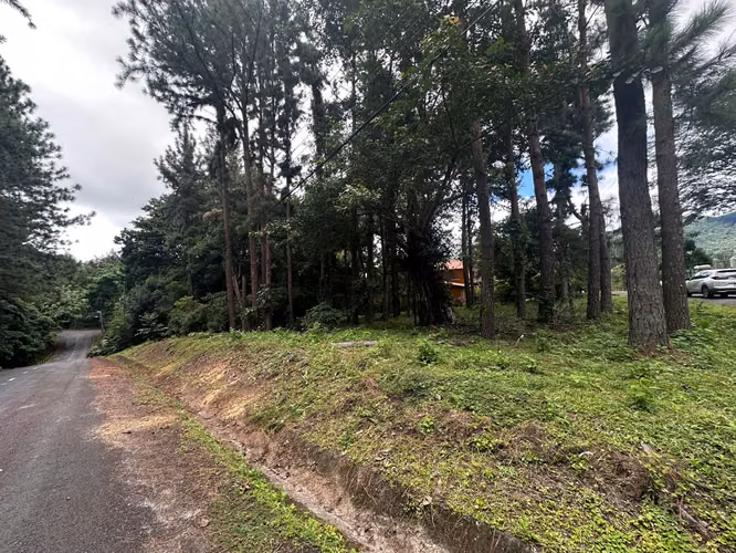 Oportunidad! Se Vende Terreno Plano en Altos del Maria - Imagen 12