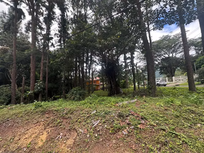 Oportunidad! Se Vende Terreno Plano en Altos del Maria - Imagen 6