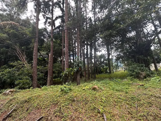 Oportunidad! Se Vende Terreno Plano en Altos del Maria - Imagen 7