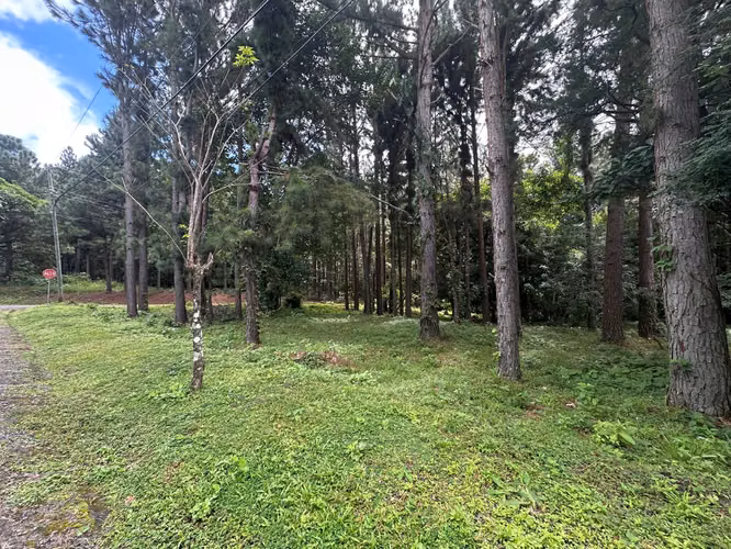 Oportunidad! Se Vende Terreno Plano en Altos del Maria