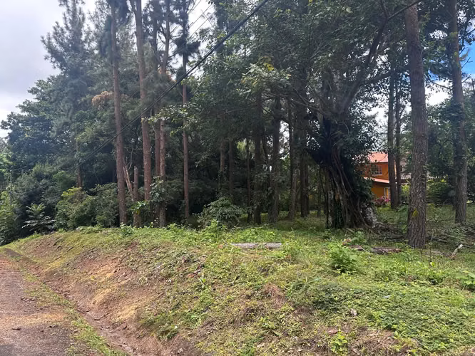 Oportunidad! Se Vende Terreno Plano en Altos del Maria - Imagen 11