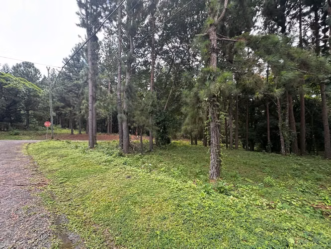 Oportunidad! Se Vende Terreno Plano en Altos del Maria - Imagen 16