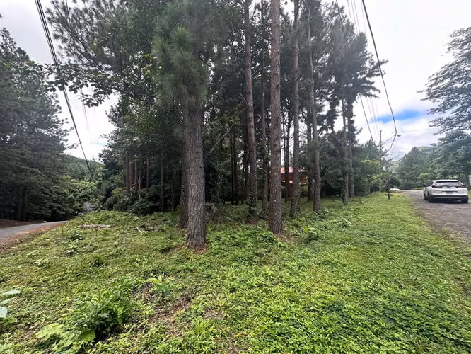 Oportunidad! Se Vende Terreno Plano en Altos del Maria - Imagen 2