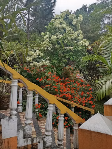 Terreno de 2,218.87 m² en Sorá, Chame – Excelente oportunidad de inversión - Imagen 11