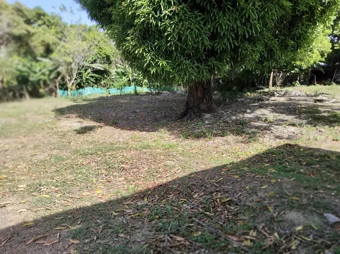 Terreno en Bejuco en Venta 35,000 - Imagen 7