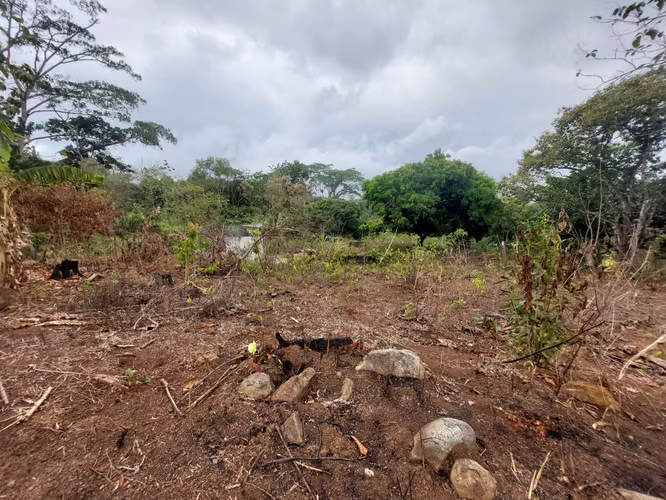 SE VENDE TERRENO EN GONZALILLO 1 HECT $ 100,000.00 - Imagen 6