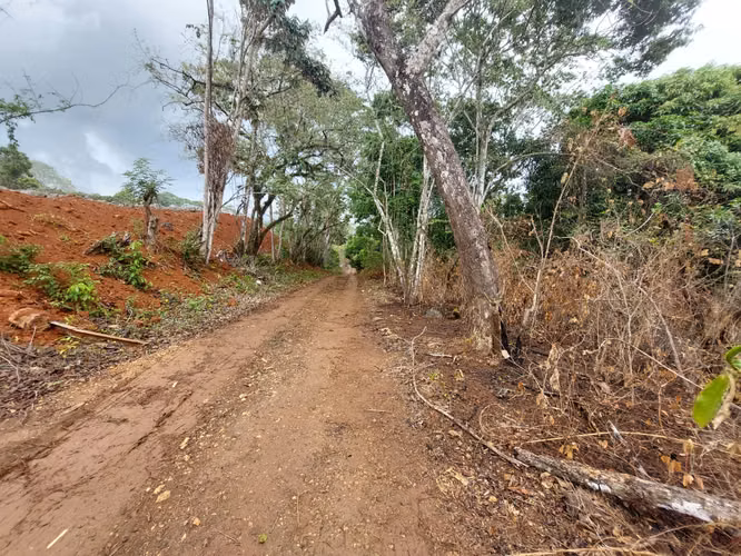 SE VENDE TERRENO EN GONZALILLO 1 HECT $ 100,000.00 - Imagen 15