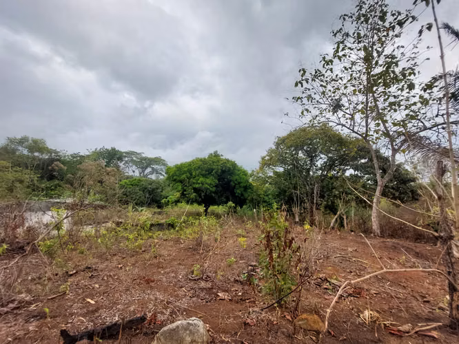 SE VENDE TERRENO EN GONZALILLO 1 HECT $ 100,000.00 - Imagen 2