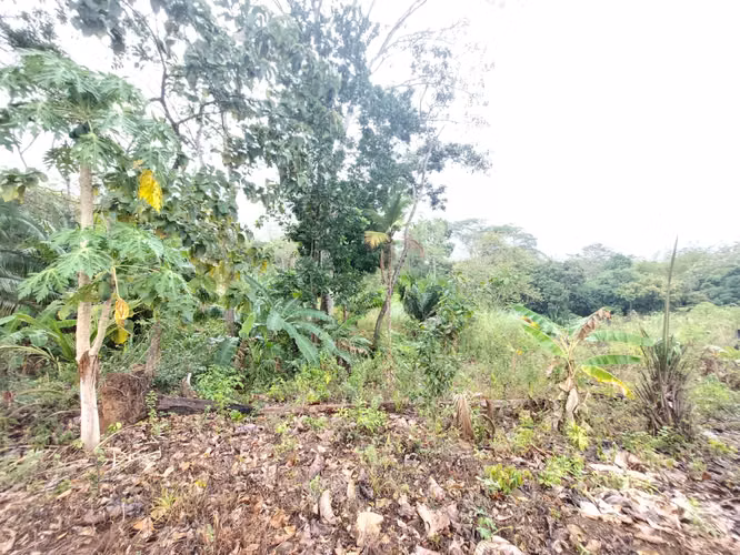 SE VENDE TERRENO EN GONZALILLO 1 HECT $ 100,000.00 - Imagen 13