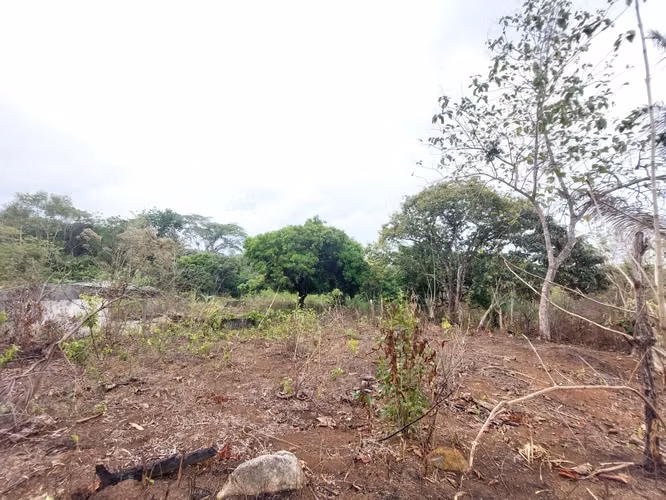 SE VENDE TERRENO EN GONZALILLO 1 HECT $ 100,000.00 - Imagen 4