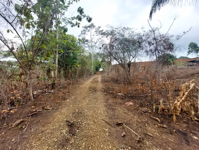 SE VENDE TERRENO EN GONZALILLO 1 HECT $ 100,000.00 - Imagen 11