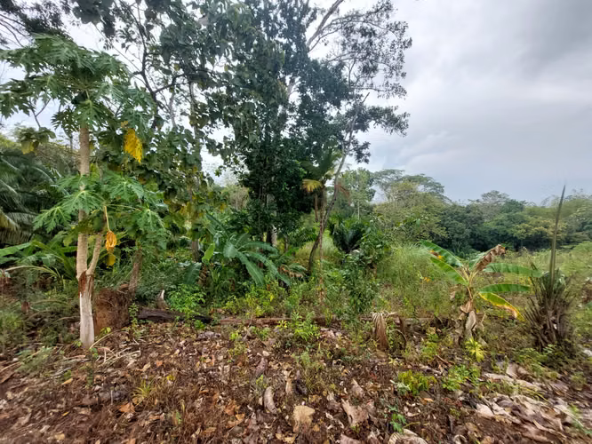 SE VENDE TERRENO EN GONZALILLO 1 HECT $ 100,000.00 - Imagen 7