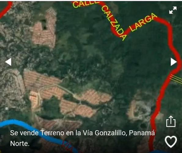 SE VENDE TERRENO EN GONZALILLO 1 HECT $ 100,000.00 - Imagen 19