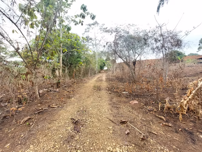 SE VENDE TERRENO EN GONZALILLO 1 HECT $ 100,000.00 - Imagen 12