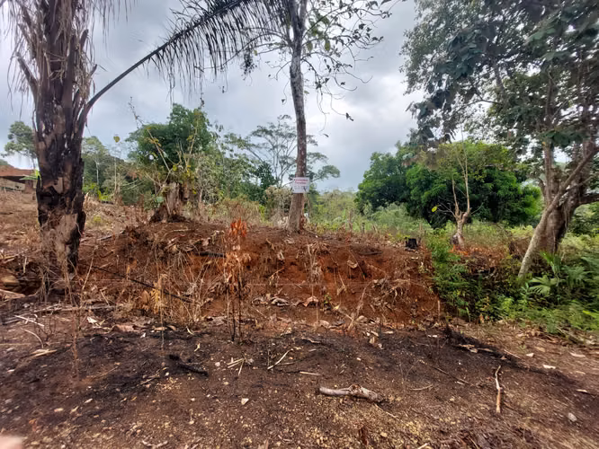 SE VENDE TERRENO EN GONZALILLO 1 HECT $ 100,000.00 - Imagen 10