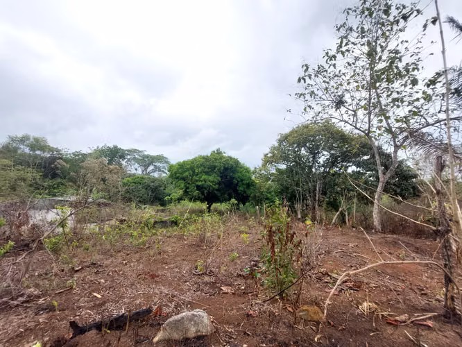 SE VENDE TERRENO EN GONZALILLO 1 HECT $ 100,000.00 - Imagen 8
