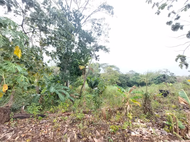 SE VENDE TERRENO EN GONZALILLO 1 HECT $ 100,000.00 - Imagen 9