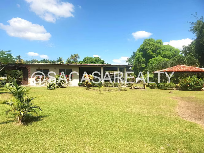 Amplio Terreno con Casa en Villa Zaita en Venta - Imagen 16