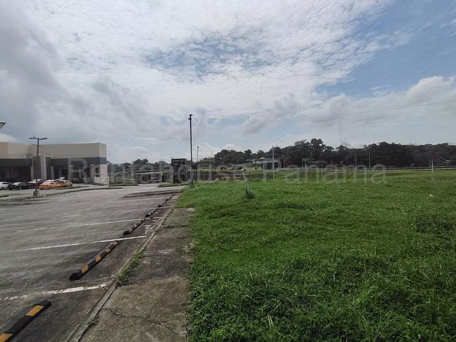 Terreno en Alquiler en Pedregal AFC 27-798 - Imagen 5