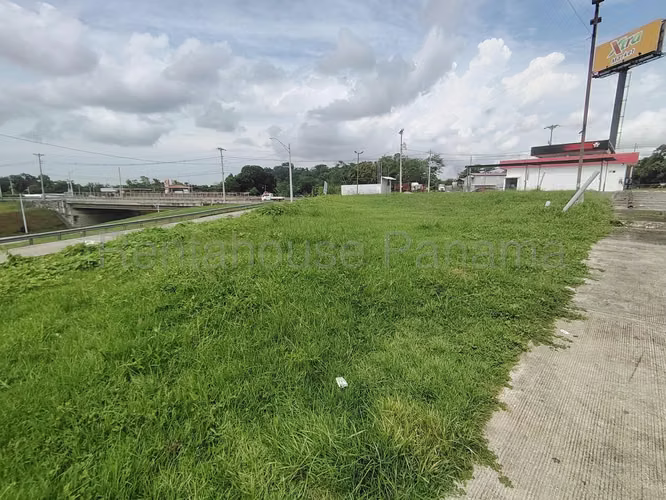 Terreno en Alquiler en Pedregal AFC 27-798 - Imagen 10