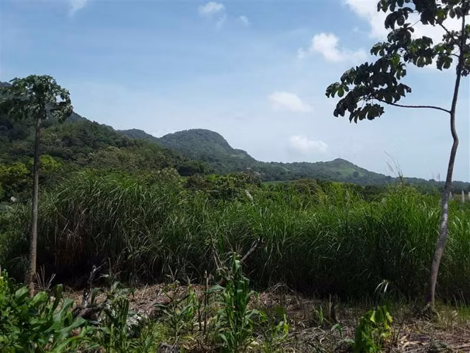 Las Cumbres, Las Lajas, Lucha Franco - Imagen 3