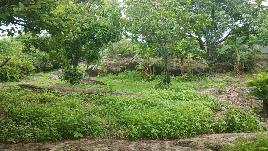 Venta de terreno en Nueva Gorgona, Chame - Imagen 5