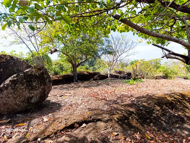 Land sale in Nueva Gorgona, Chame
